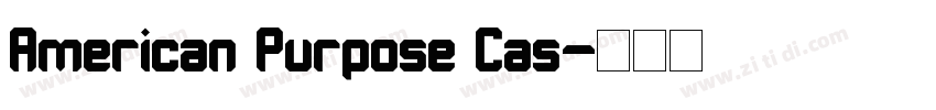 American Purpose Cas字体转换